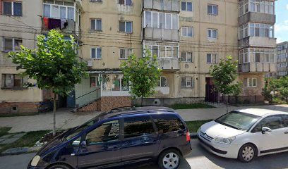 ABSINTHIFARM Str. Tineretului