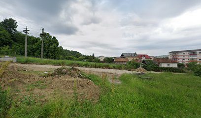 ALIMENTARA AIDA Strada Cuza Vodă 53
