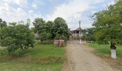 Apiliva Honey Strada Tudor Vladimirescu 66A