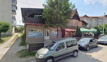 Asoltanei Market Srl Strada Tineretului nr 31