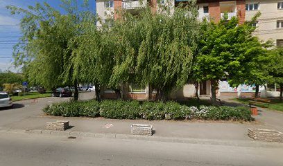BRUTARIA STROIE Strada Hanului 9