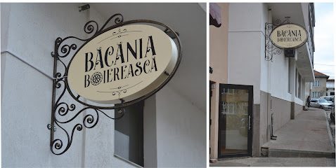 Bacania Boiereasca Bulevardul Gavril Tudoraș 36