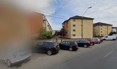 CONSIRON S.R.L. Cal. Caransebesului