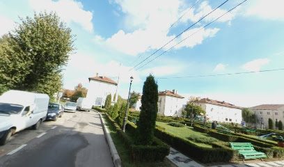 COSTELINO S.R.L. Strada Librăriei 11