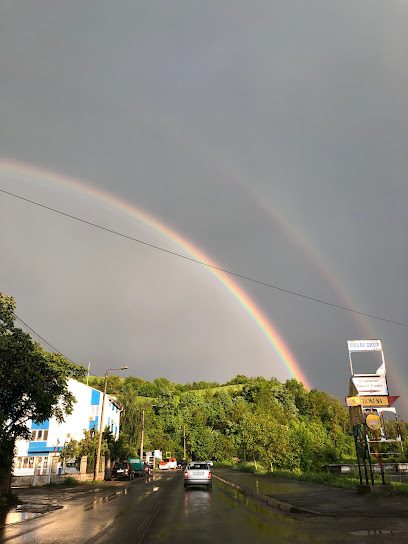 CROSI S.A. Str. Lalescu Traian