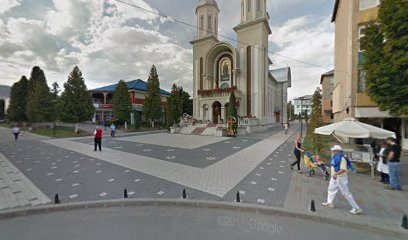 D'ale lui Vesa ( Transeuro Mag. 8) Strada Alexandru Sahia 15
