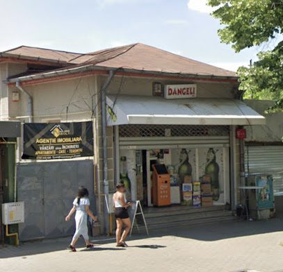 Dangeli SRL Bulevardul București