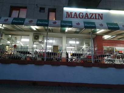 Darina Strada Cutezanței 46