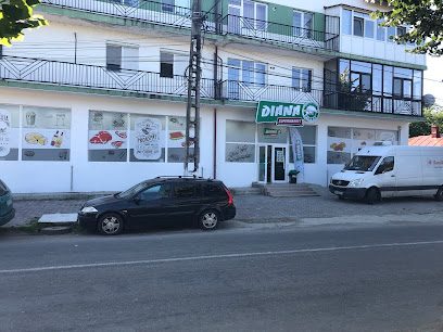 Diana Supermarket Strada Viitorului 14