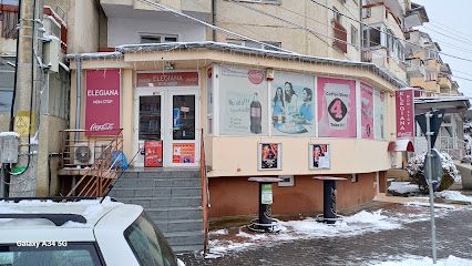 Elegiana Strada Mărășești 2