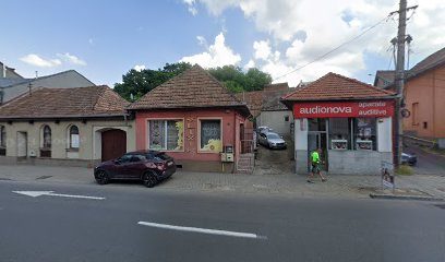 Elixir Strada Revoluției 42