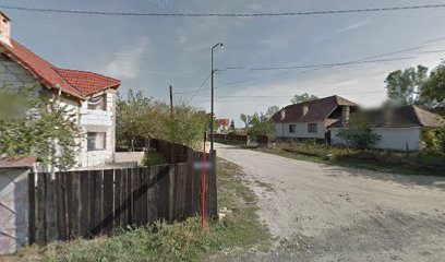 Europlant Strada Câmpului 1a