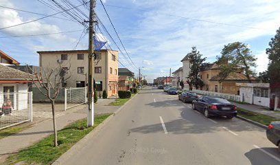 GINOLEX S.R.L. Str. Unirii