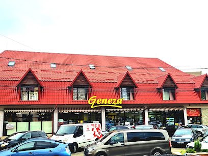 Geneza Str. Ing. Serafim Lungu 5