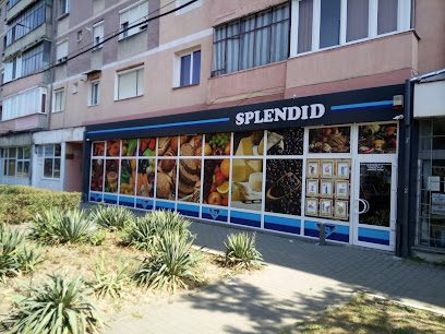 Konsta Splendid Strada George Topârceanu 10