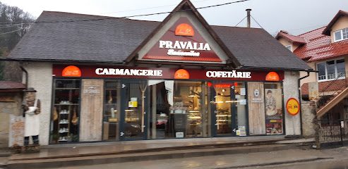 La Săndel DN73 499