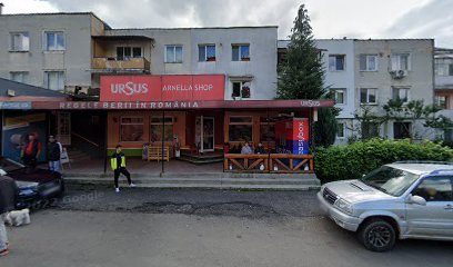 La doi paşi Aleea Minerilor 31