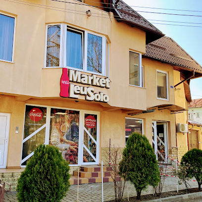 Leusolo Strada Mihai Viteazul 3