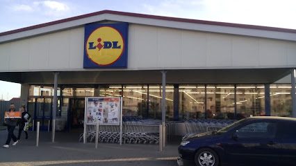 Lidl Aleea Teilor 35-37