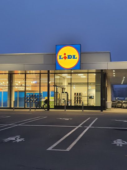 Lidl Bulevard Miron Nicolescu 10