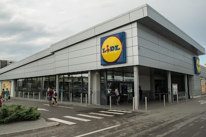 Lidl Bulevardul Chimiei 2A