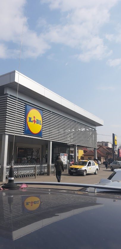 Lidl Bulevardul Ecaterina Teodoroiu 111