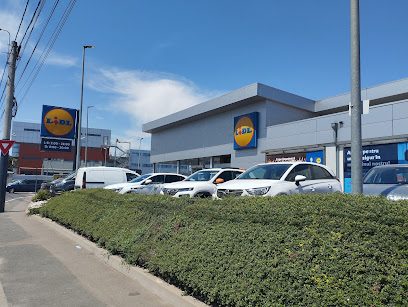 Lidl Bulevardul I. C. Brătianu 140