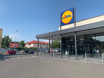 Lidl Bulevardul Nicolae Romanescu 39