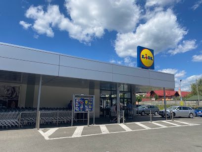 Lidl Bulevardul Regele Ferdinand 88H