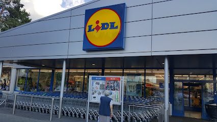 Lidl Bulevardul Saturn 35A
