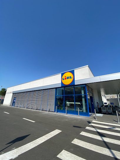 Lidl Bulevardul Tudor Vladimirescu 31