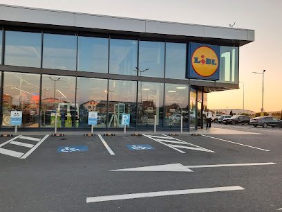 Lidl Calea București 98B