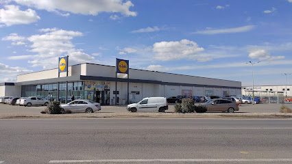 Lidl Calea Lugojului 95