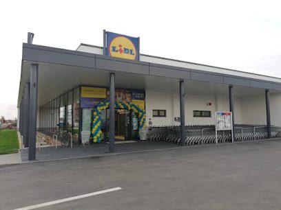Lidl Calea Timișoarei 11