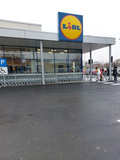 Lidl Prelungirea Ferentari 66-70