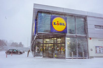 Lidl Șoseaua Mangaliei 165