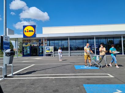 Lidl Șoseaua Unirii 216