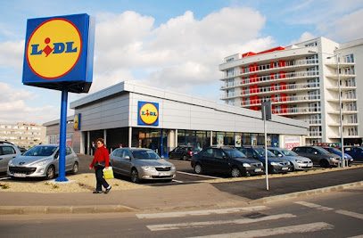 Lidl Str. Tudor Vladimirescu 87