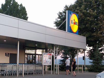 Lidl Strada 1 Decembrie 1918 44