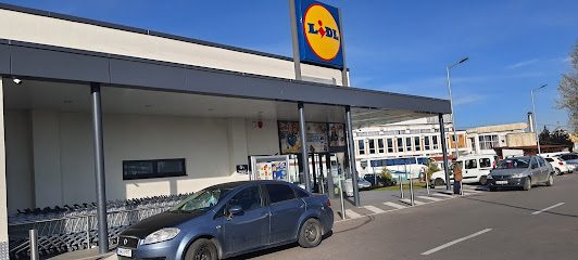 Lidl Strada Arhitect Gheorghe Pintea 1A-5