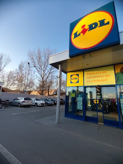 Lidl Strada Barajului 10