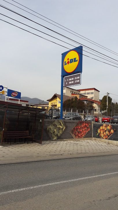 Lidl Strada Bejan 2A
