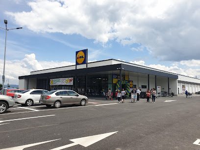Lidl Strada Cetatea de Pământ 1