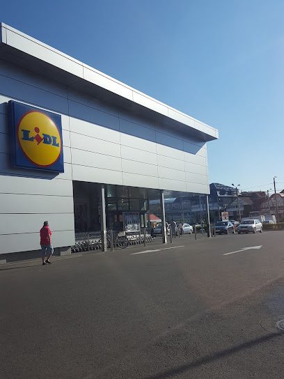 Lidl Strada Cosmonauților 2