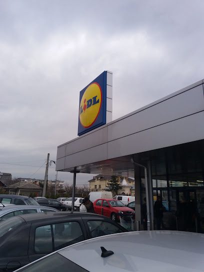 Lidl Strada Dunării 103-105