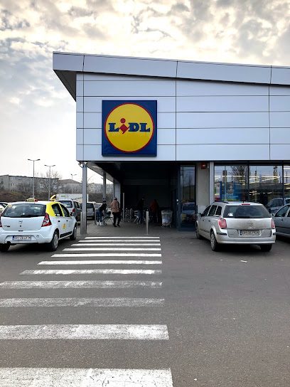 Lidl Strada Fabricilor 2