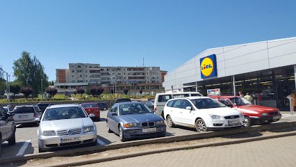 Lidl Strada Gutinului 9A