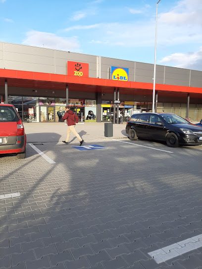 Lidl Strada Iancu de Hunedoara 18
