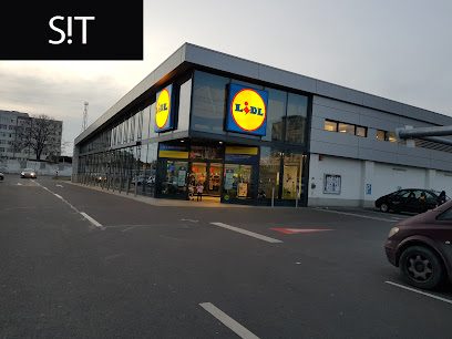 Lidl Strada Industriei 1