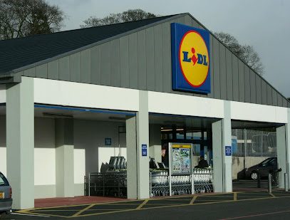 Lidl Strada Ion Luca Caragiale 6